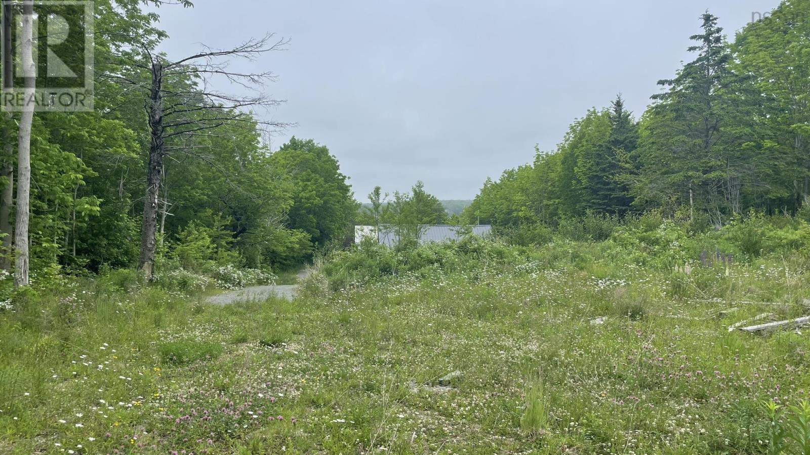 4398 Highway 1, Weymouth, Nova Scotia  B0W 3T0 - Photo 24 - 202514285