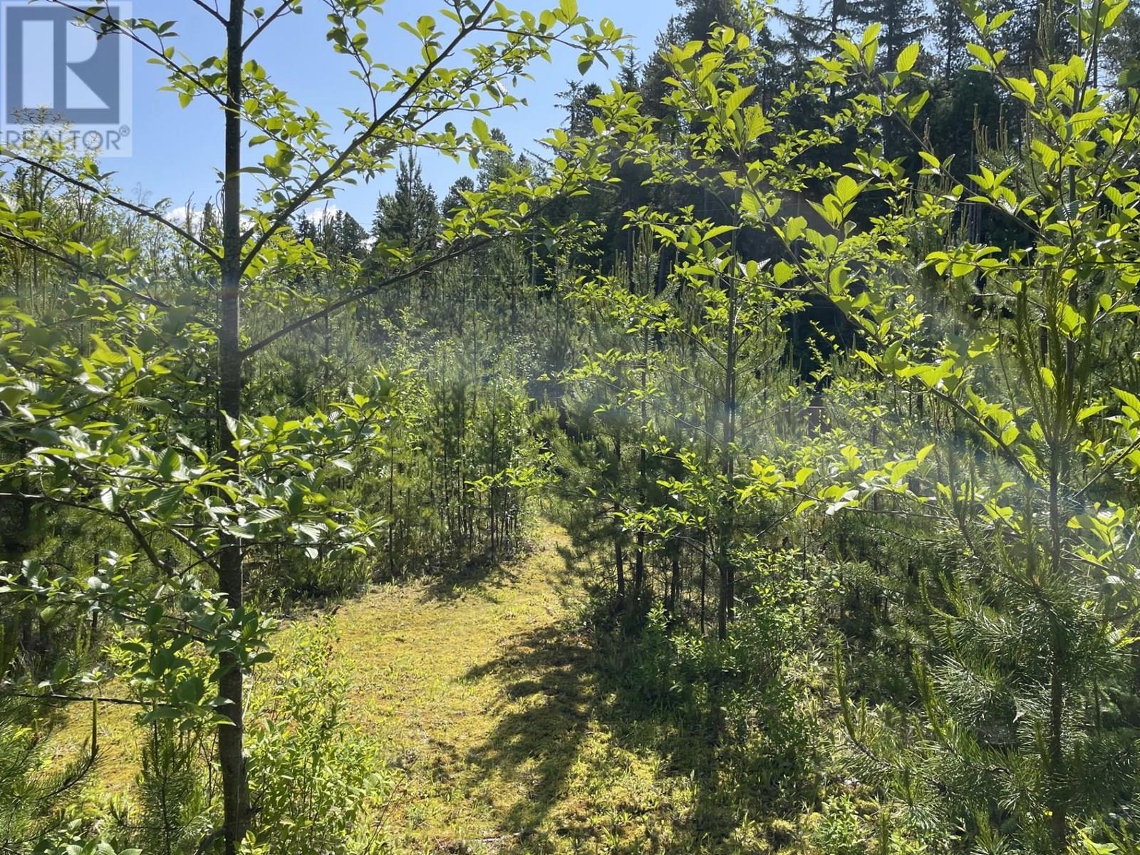 5258 Old Remo Road, Terrace, British Columbia  V8G 0E3 - Photo 16 - R3014286
