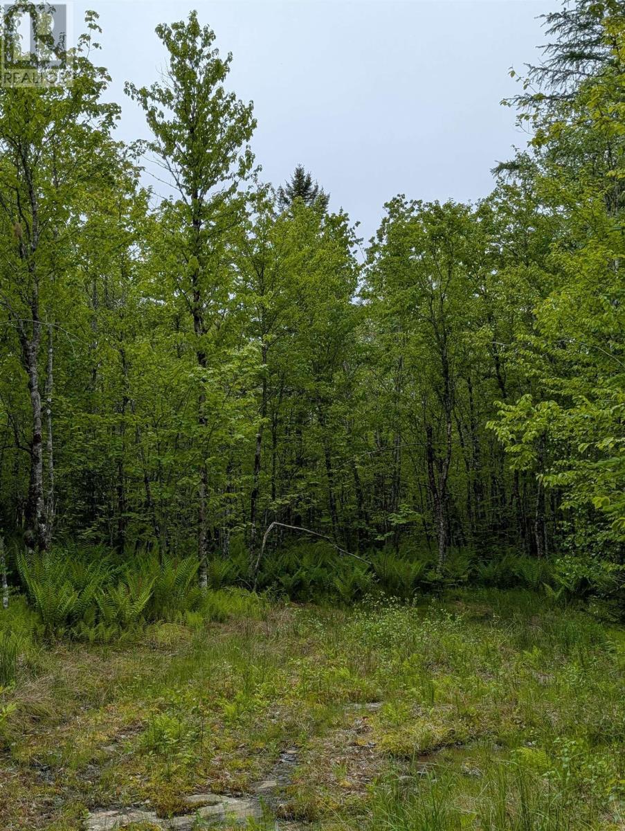 Cm2j Lot Cm2j Mckenzie Lane, Mount Uniacke, Nova Scotia  B0N 1Z0 - Photo 3 - 202514136