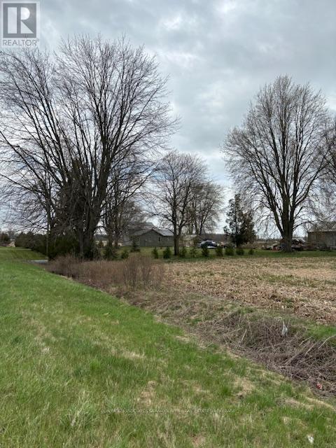 1075 Cairo Road, Dawn-Euphemia, Ontario  N0P 1C0 - Photo 3 - X12213749