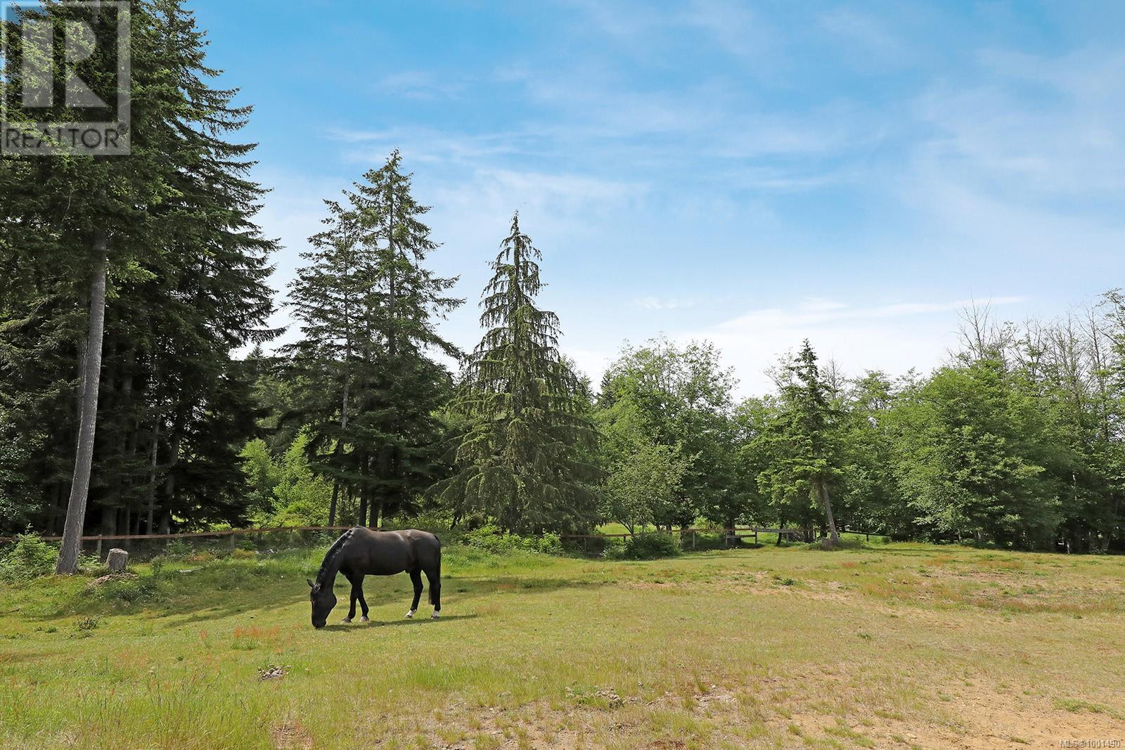 Lot 3 1195 Burbank Rd, Qualicum Beach, British Columbia  V9K 1Y5 - Photo 42 - 1001490