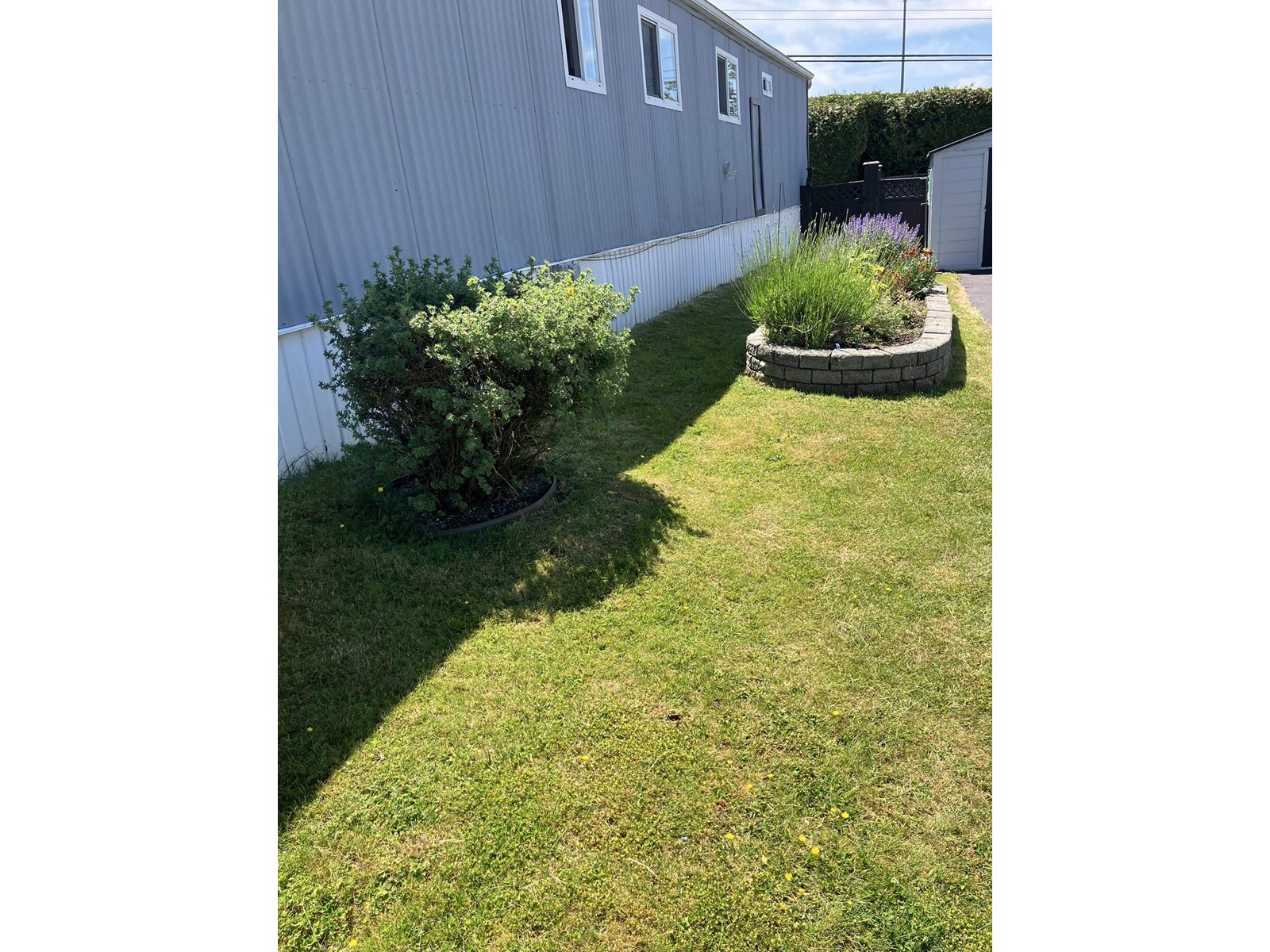 48 2035 Martens Street, Abbotsford, British Columbia  V2T 6M4 - Photo 35 - R3013454