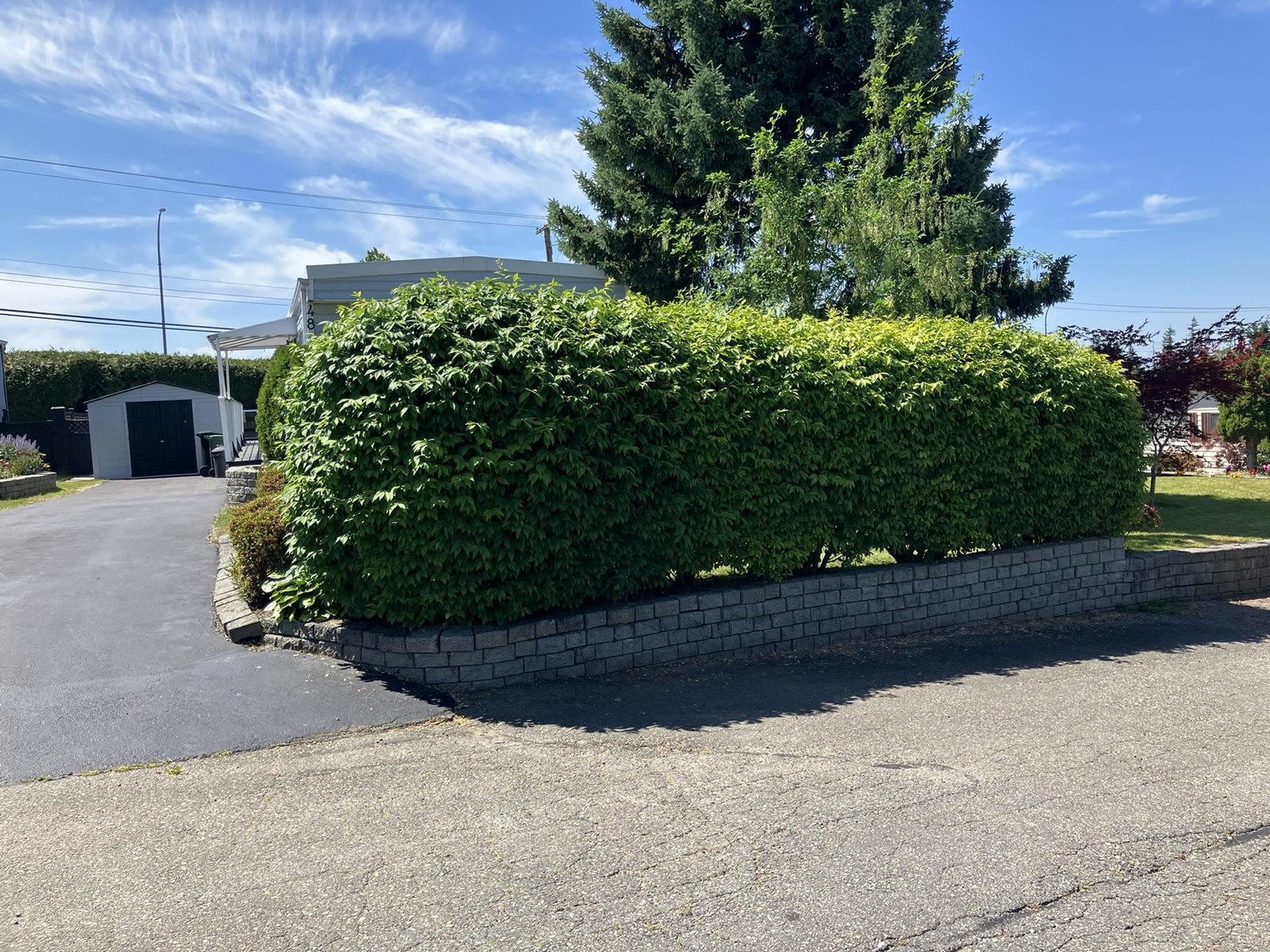 48 2035 Martens Street, Abbotsford, British Columbia  V2T 6M4 - Photo 2 - R3013454