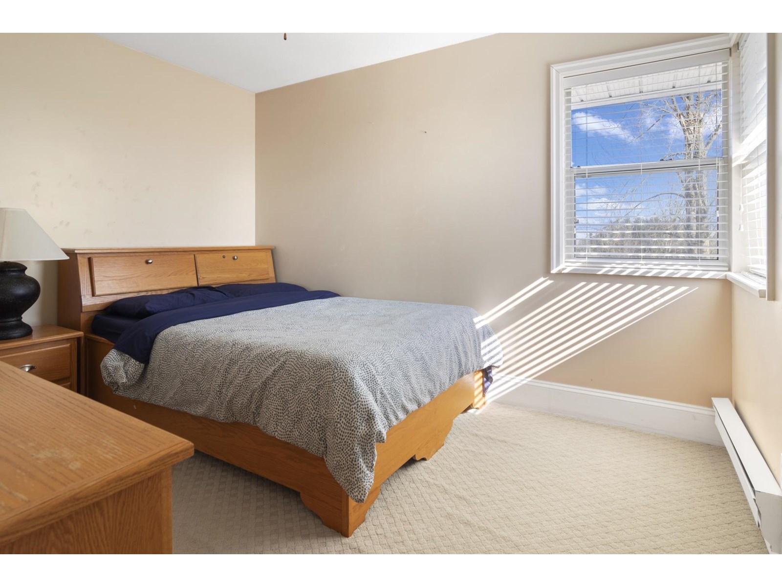 29445 Simpson Road, Abbotsford, British Columbia  V4X 1H9 - Photo 28 - R3014182