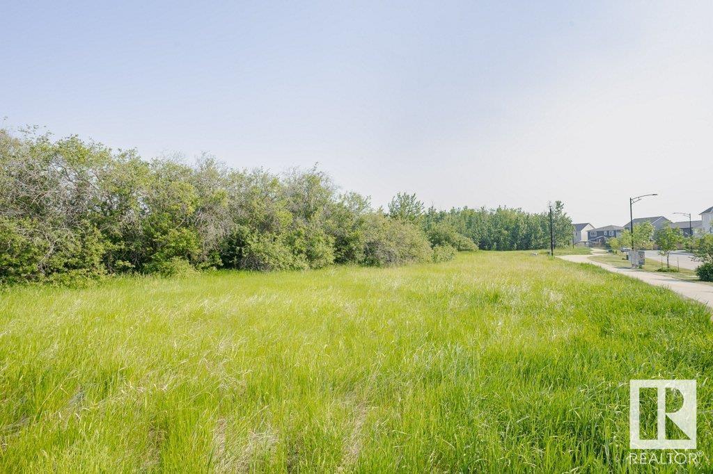 20104 18 Av Nw, Edmonton, Alberta  T6J 4T9 - Photo 53 - E4441759