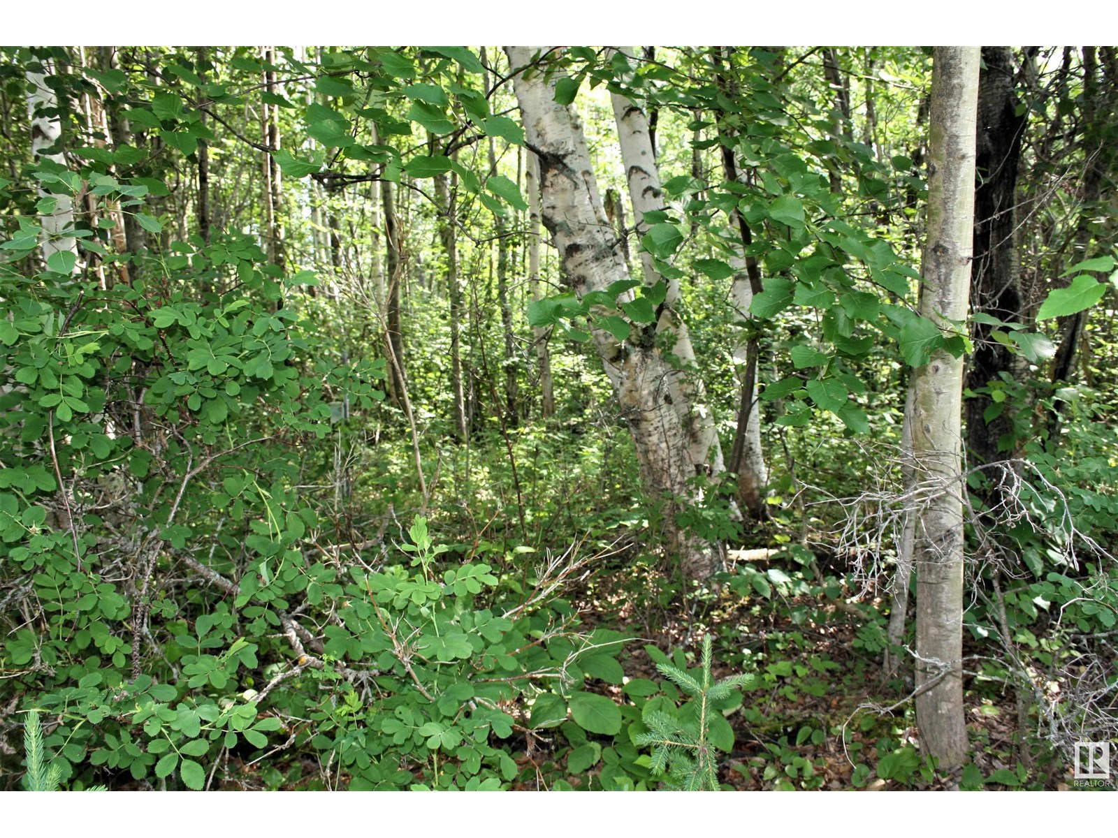 1 652051 Rng Rd 224, Rural Athabasca County, Alberta  T9S 1B9 - Photo 2 - E4441761