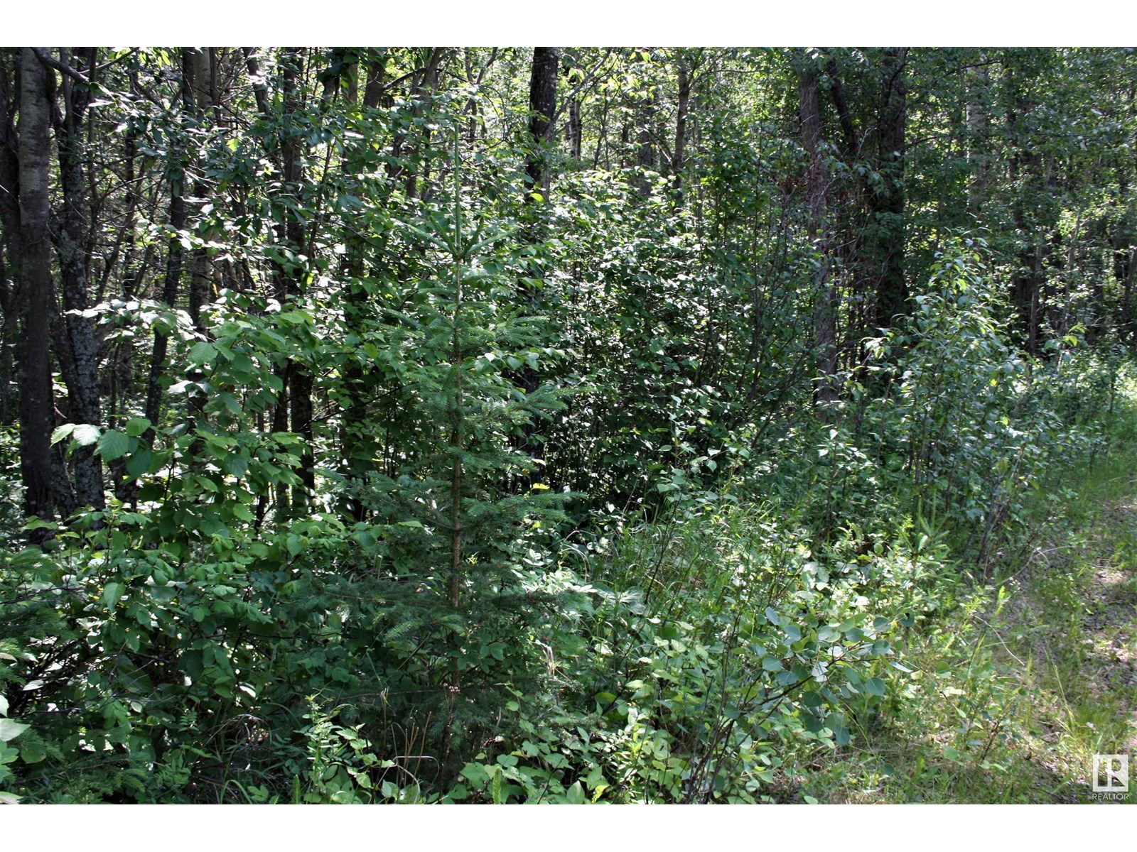 1 652051 Rng Rd 224, Rural Athabasca County, Alberta  T9S 1B9 - Photo 3 - E4441761