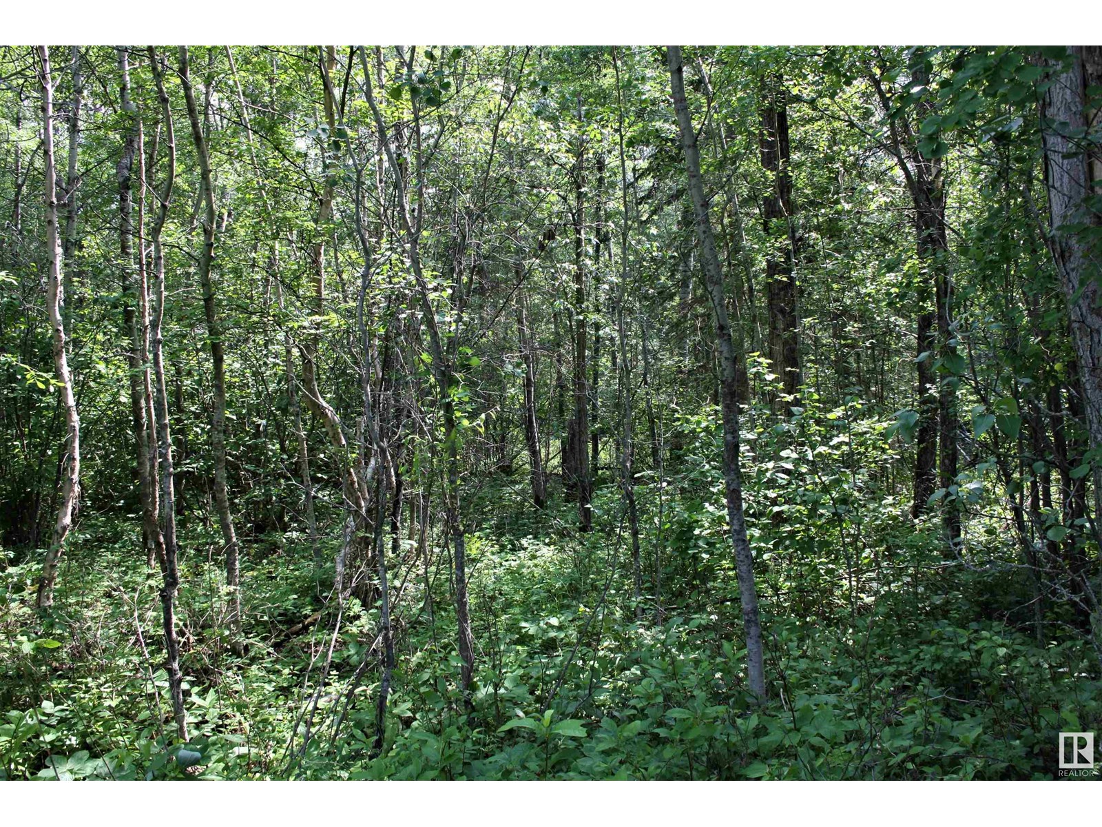 1 652051 Rng Rd 224, Rural Athabasca County, Alberta  T9S 1B9 - Photo 4 - E4441761