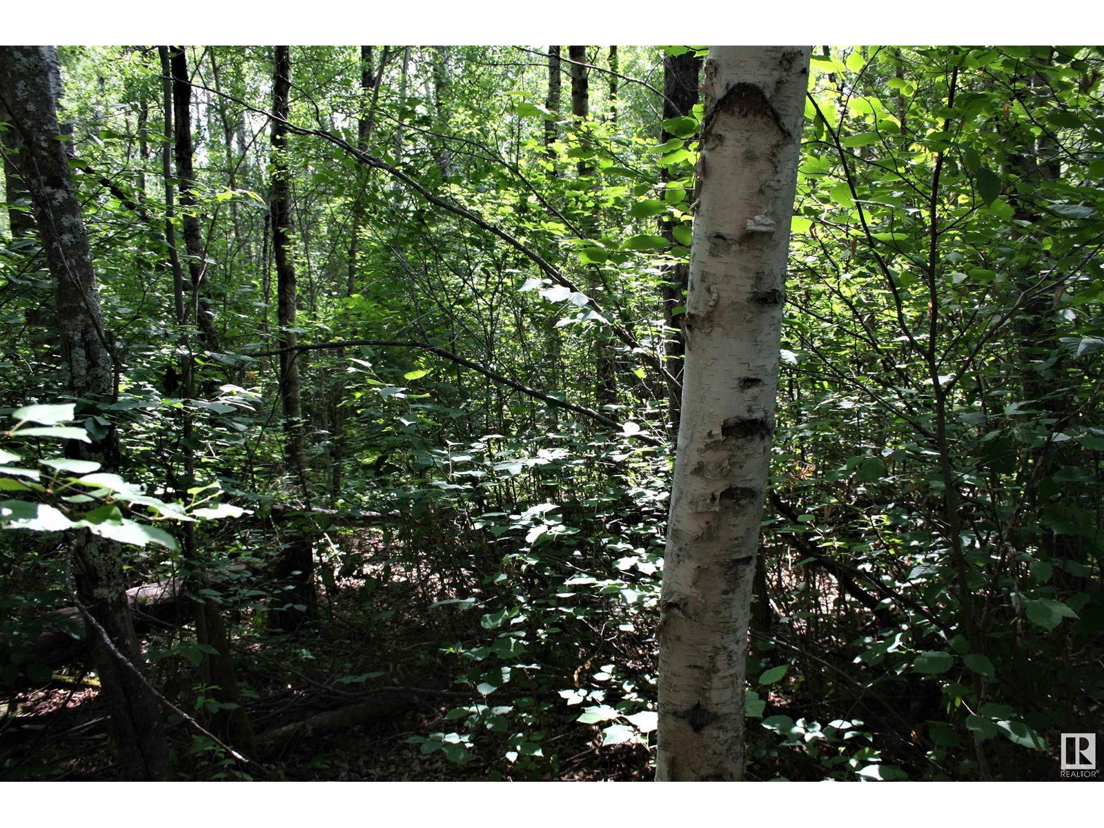 1 652051 Rng Rd 224, Rural Athabasca County, Alberta  T9S 1B9 - Photo 7 - E4441761