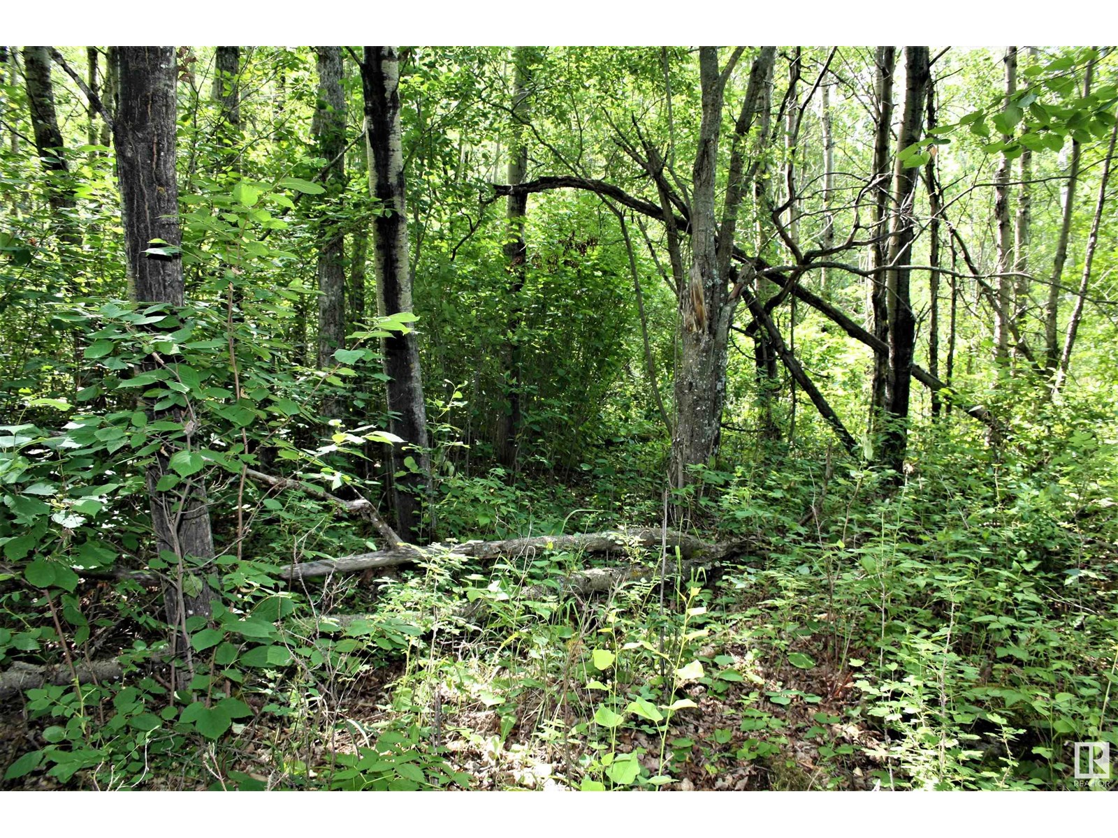 1 652051 Rng Rd 224, Rural Athabasca County, Alberta  T9S 1B9 - Photo 8 - E4441761