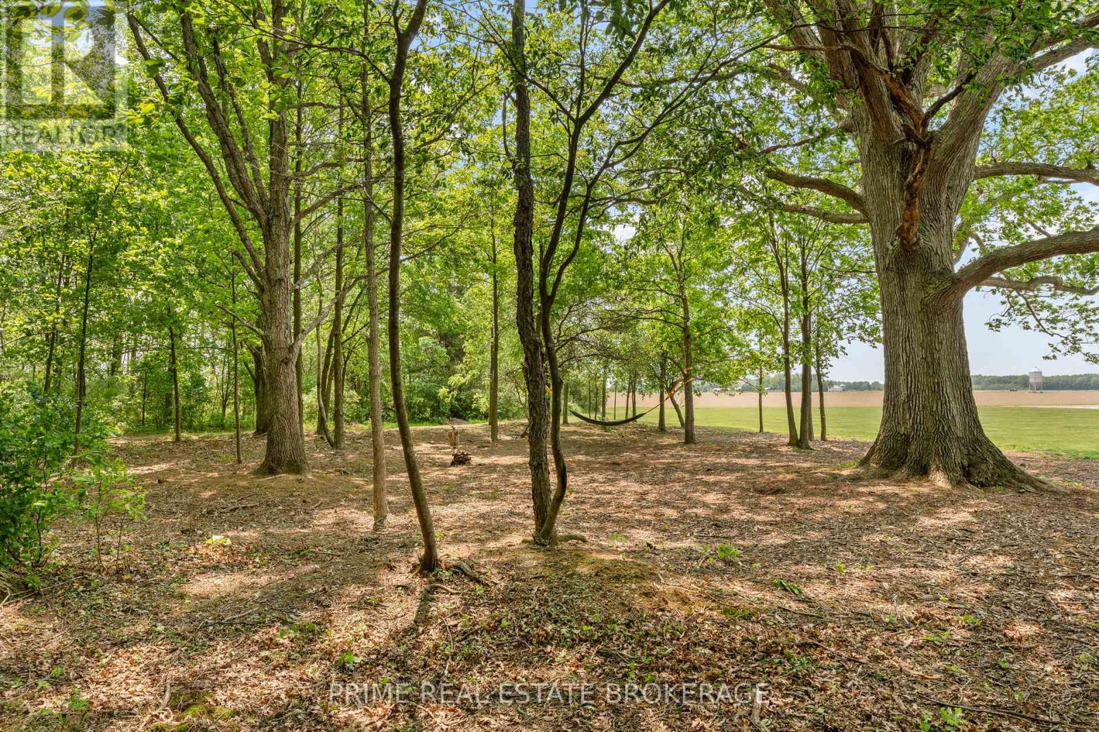 818 Oil Heritage Road, Chatham-Kent, Ontario  N0P 1M0 - Photo 31 - X12213869