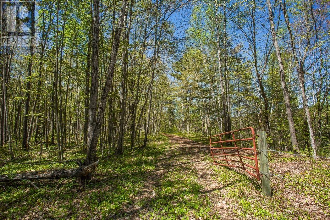 End Of Warnock Rd, Iron Bridge, Ontario  P0R 1H0 - Photo 3 - SM251197
