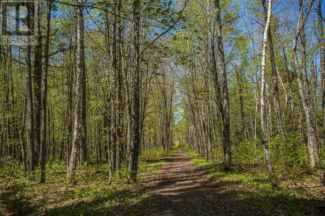 End Of Warnock Rd, Iron Bridge, Ontario  P0R 1H0 - Photo 33 - SM251197