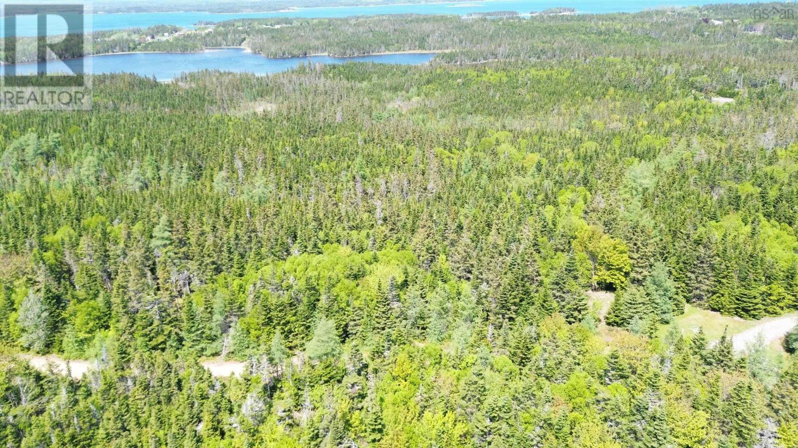 320 Highway, D'escousse, Nova Scotia  B0E 1K0 - Photo 6 - 202514310