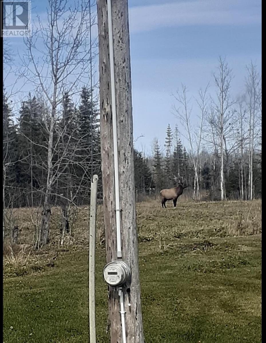 870 Mcdiarmid Rd, Emo, Ontario  P0W 1E0 - Photo 33 - TB251639