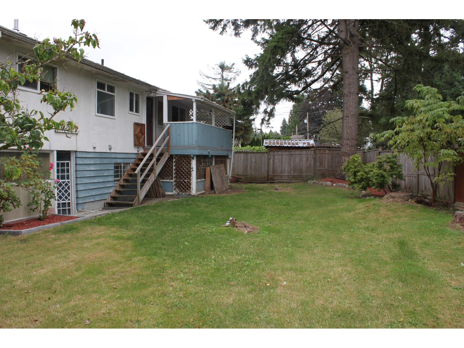 10977 Jay Crescent, Surrey, British Columbia  V3R 5B3 - Photo 3 - R3013234