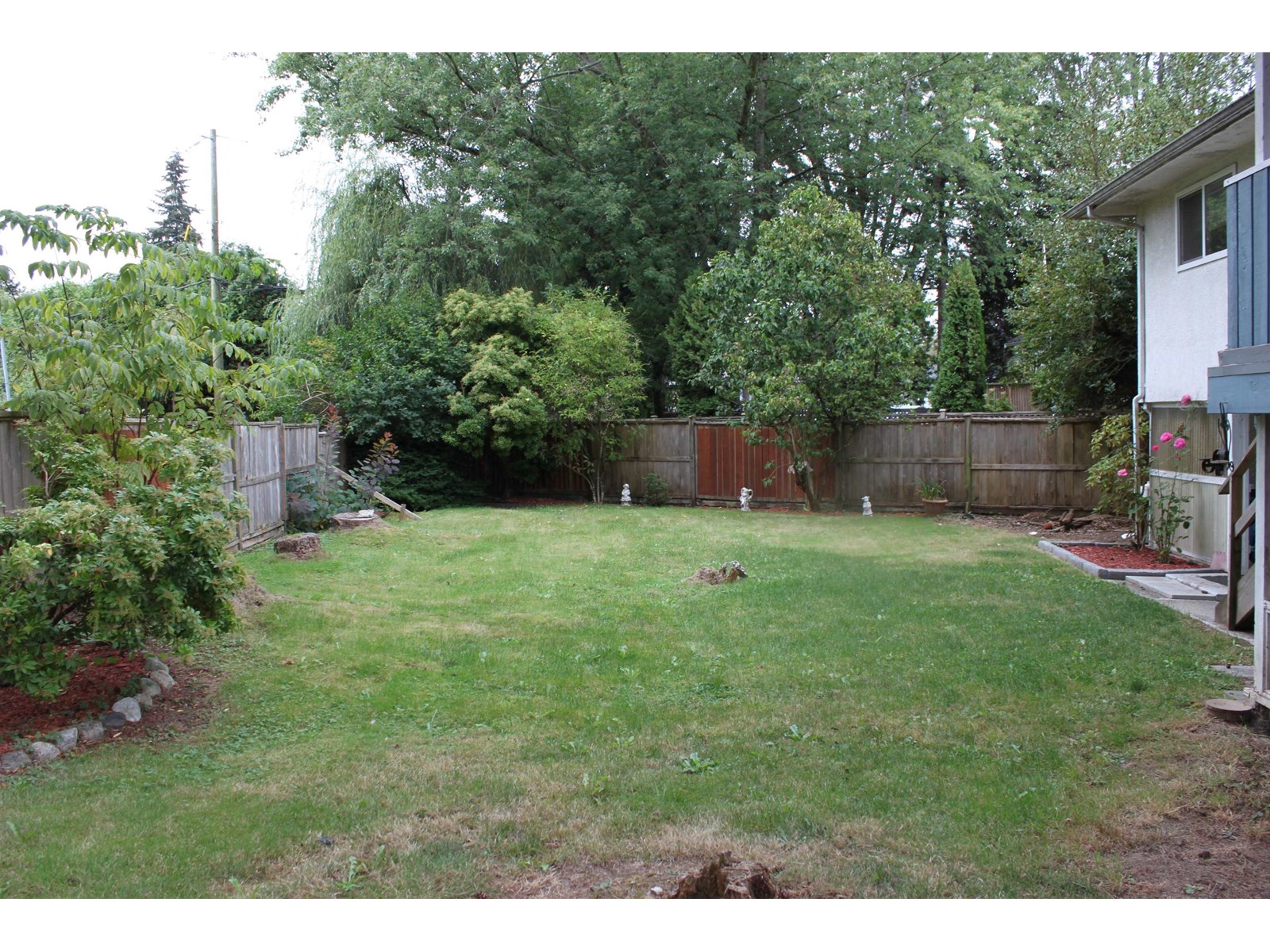 10977 Jay Crescent, Surrey, British Columbia  V3R 5B3 - Photo 4 - R3013234