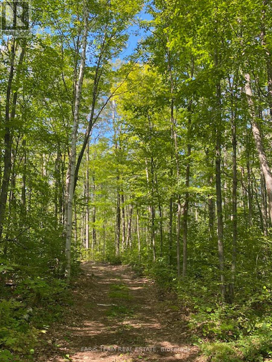 Lot 11 Dorion Road, Tiny, Ontario  L9M 0M4 - Photo 11 - S12214007