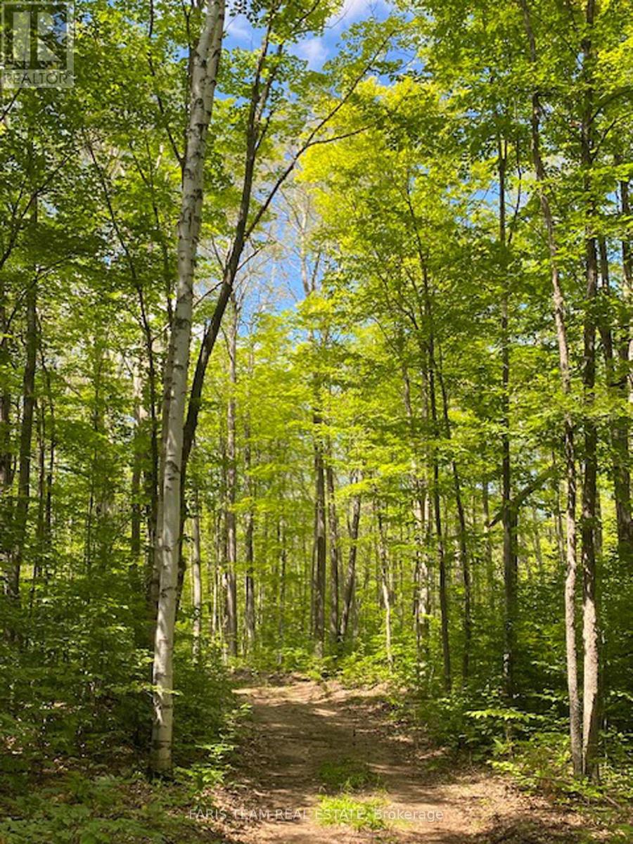 Lot 11 Dorion Road, Tiny, Ontario  L9M 0M4 - Photo 12 - S12214007