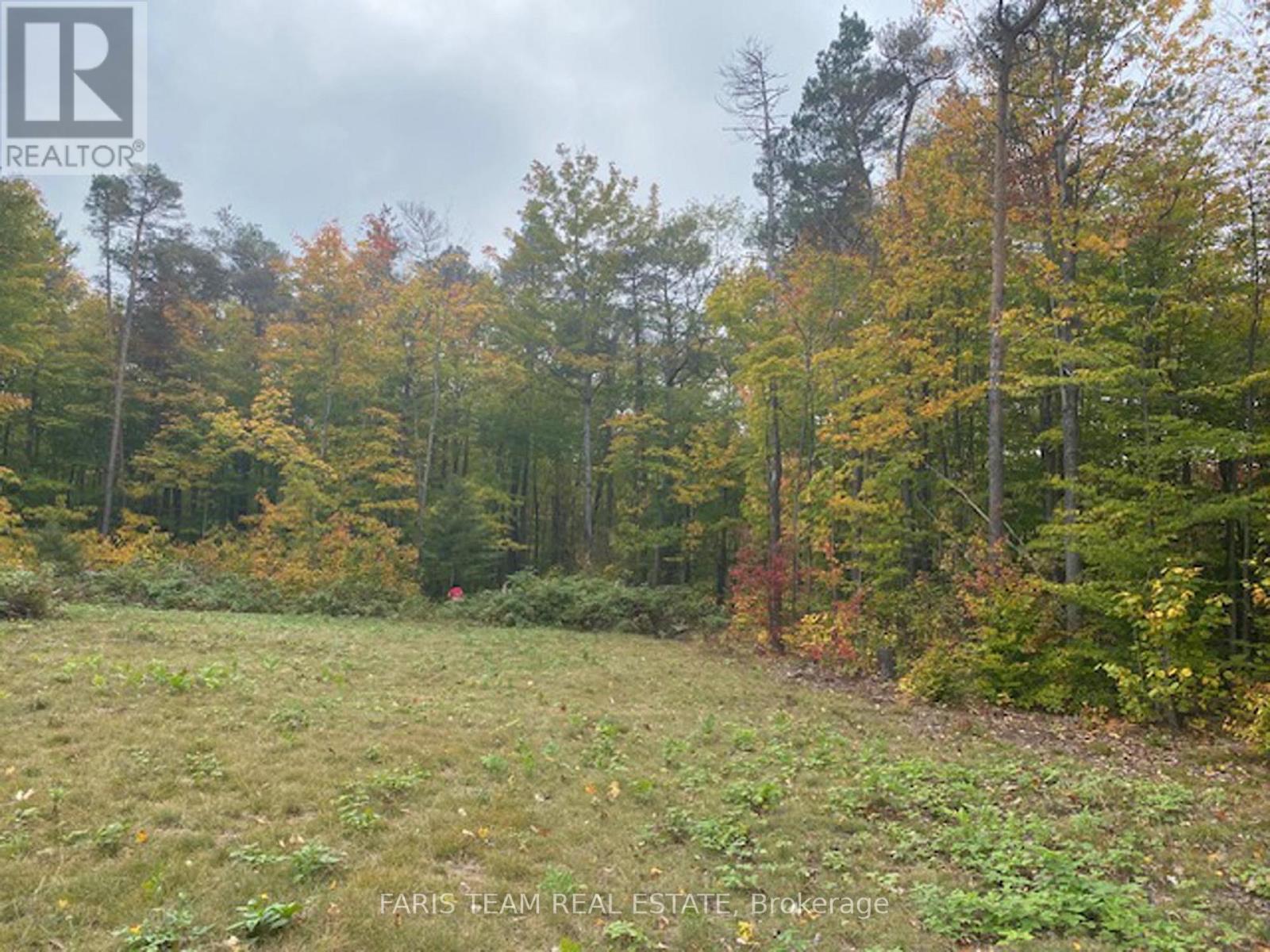 Lot 11 Dorion Road, Tiny, Ontario  L9M 0M4 - Photo 14 - S12214007