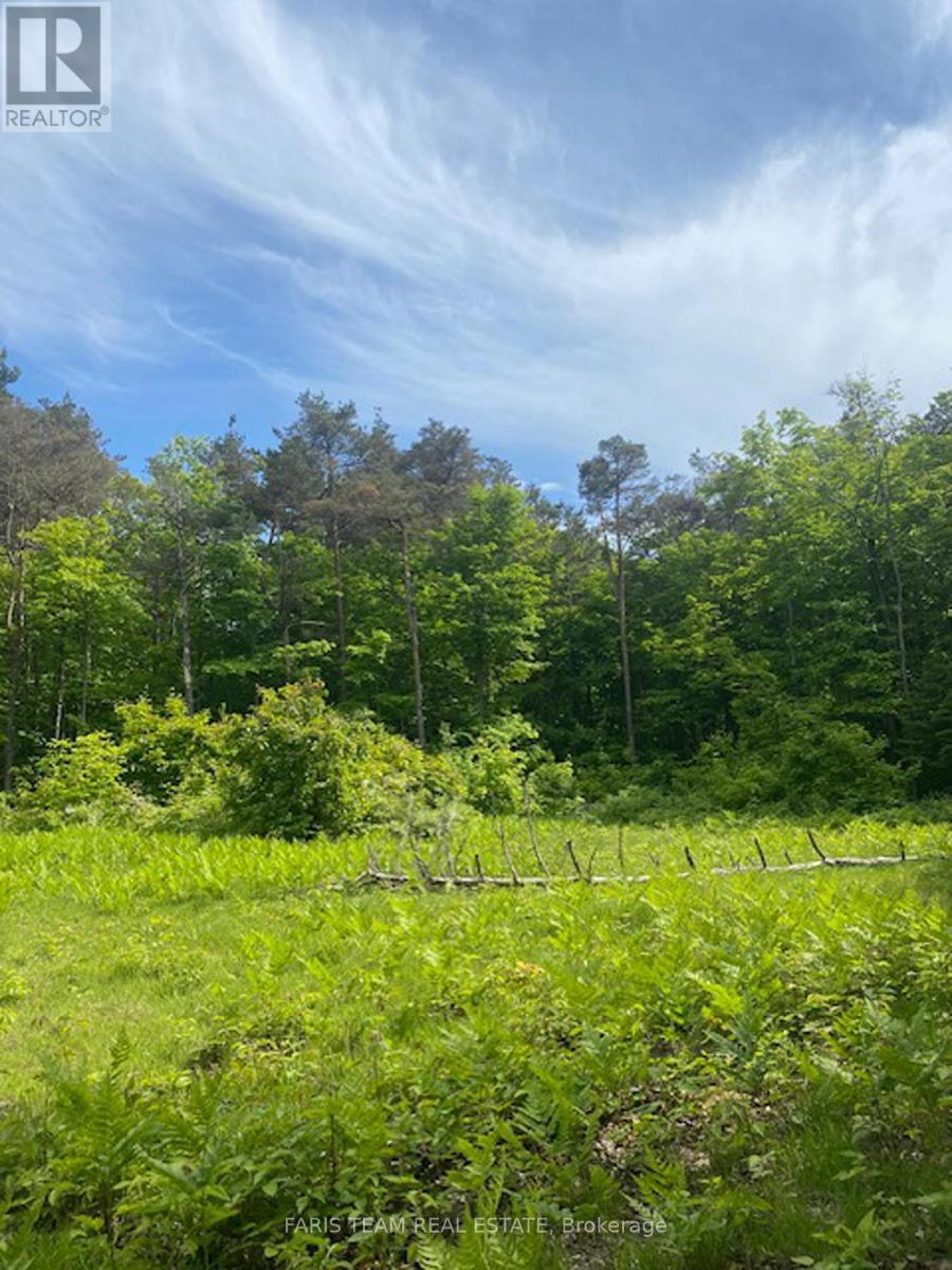 Lot 11 Dorion Road, Tiny, Ontario  L9M 0M4 - Photo 17 - S12214007