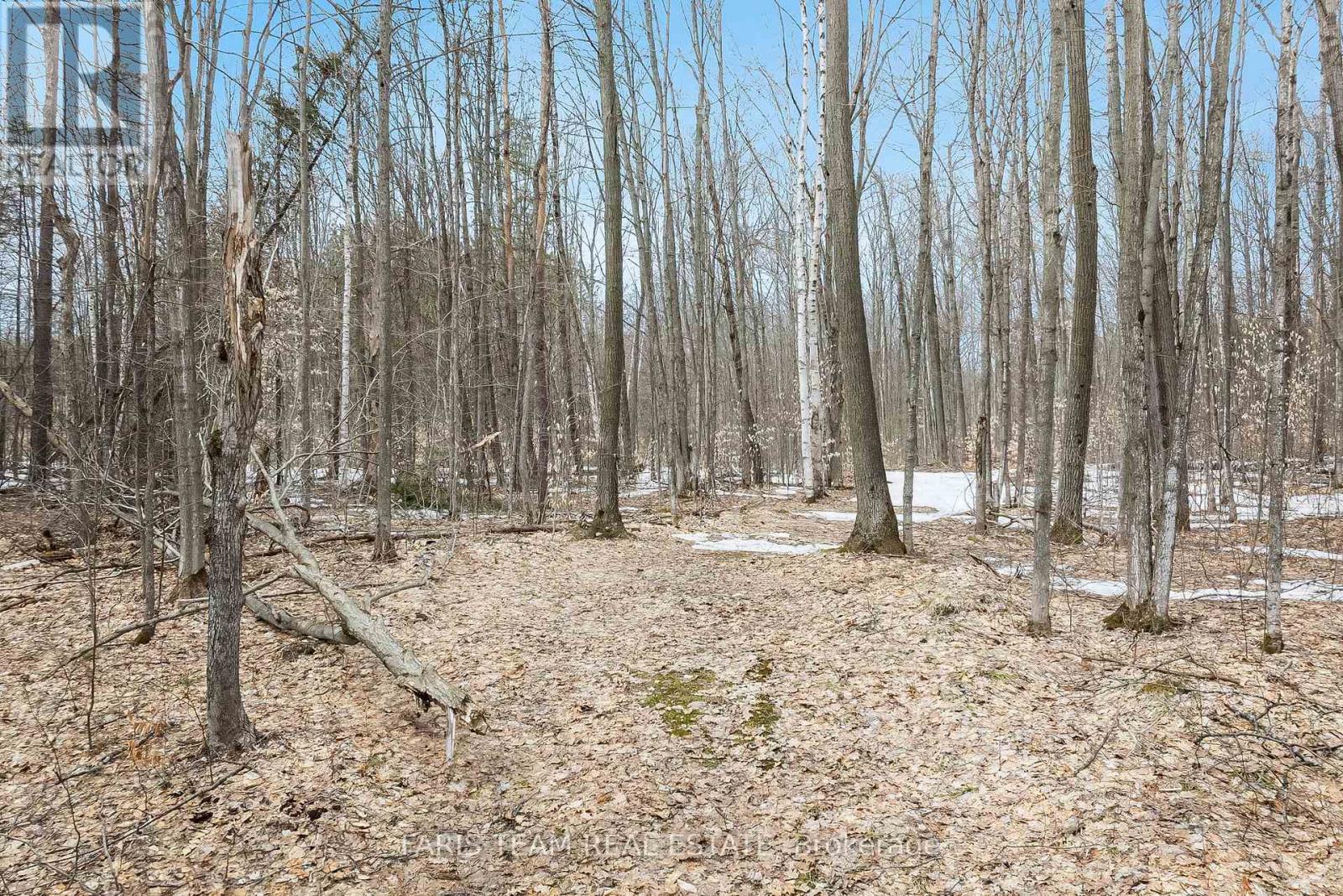 Lot 11 Dorion Road, Tiny, Ontario  L9M 0M4 - Photo 3 - S12214007