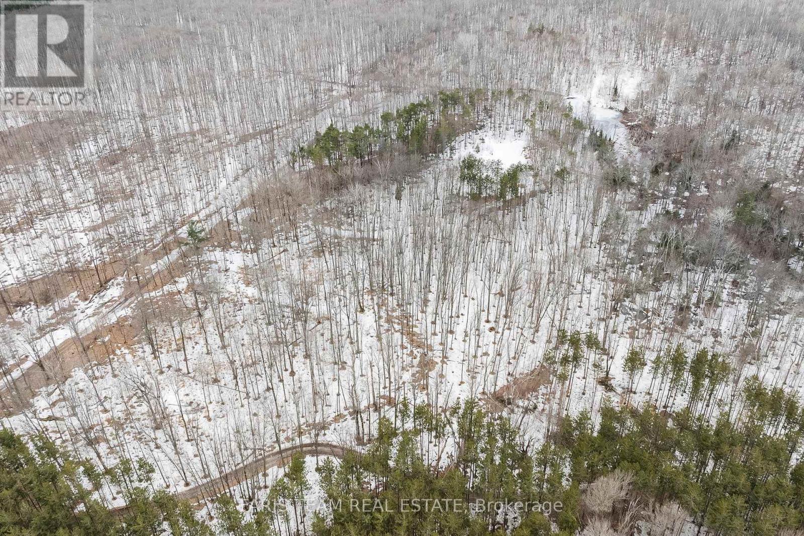 Lot 11 Dorion Road, Tiny, Ontario  L9M 0M4 - Photo 4 - S12214007
