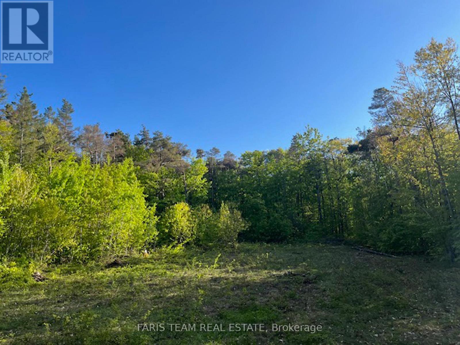 Lot 11 Dorion Road, Tiny, Ontario  L9M 0M4 - Photo 9 - S12214007