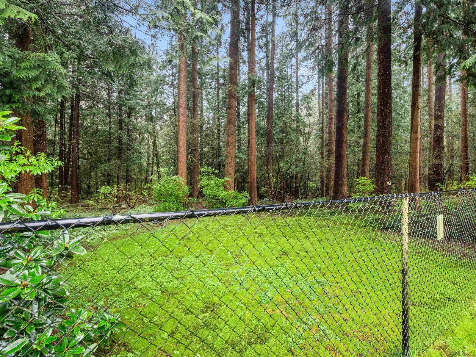 5919 Briarwood Crescent, Delta, British Columbia  V4E 2X1 - Photo 34 - R3014114