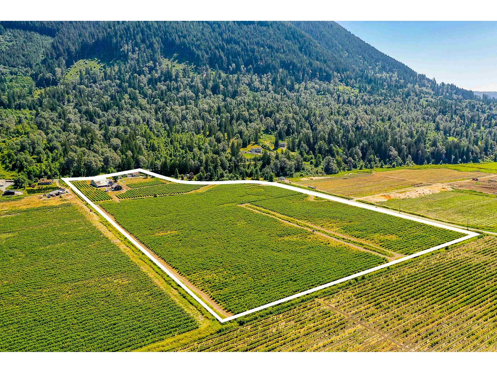 10931 Sylvester Road, Mission, British Columbia  V2V 0B2 - Photo 12 - C8069906