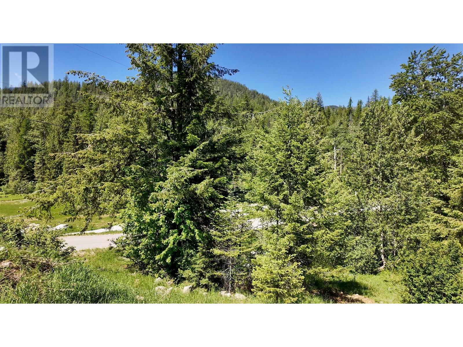 3923 Old Red Mountain Road, Rossland, British Columbia  V0G 1Y0 - Photo 8 - 10344149