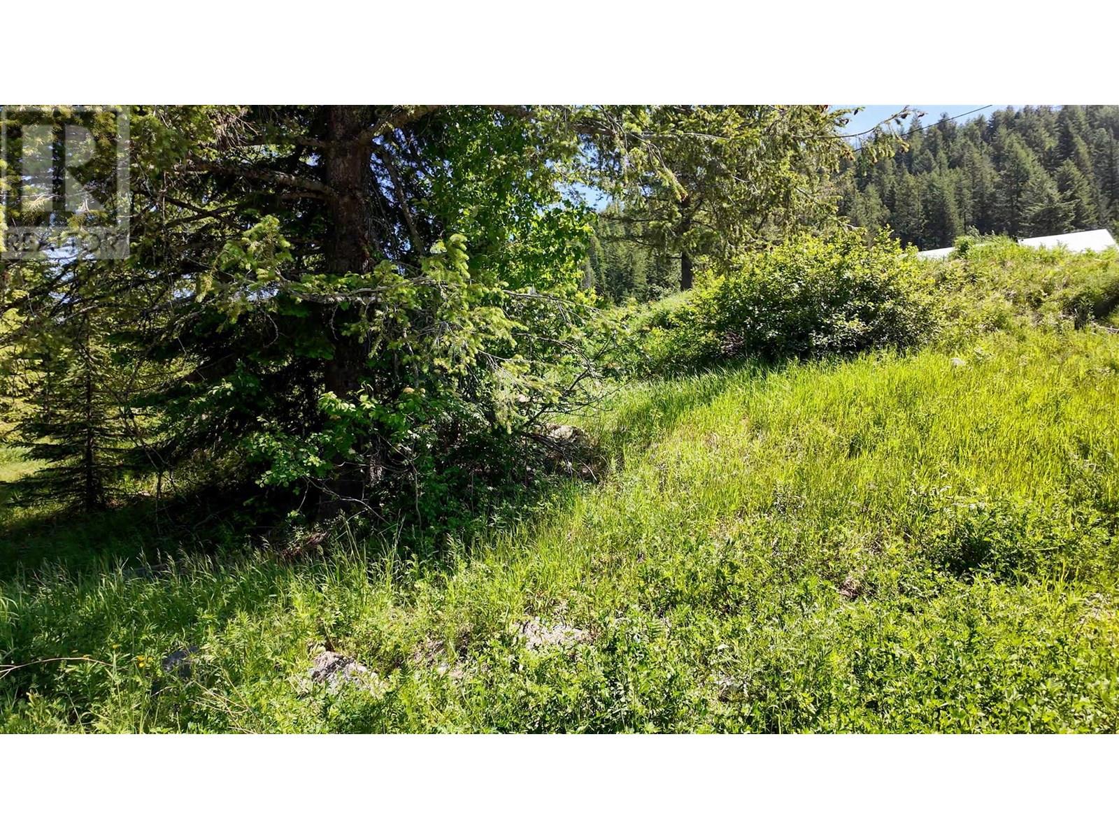 3923 Old Red Mountain Road, Rossland, British Columbia  V0G 1Y0 - Photo 10 - 10344149
