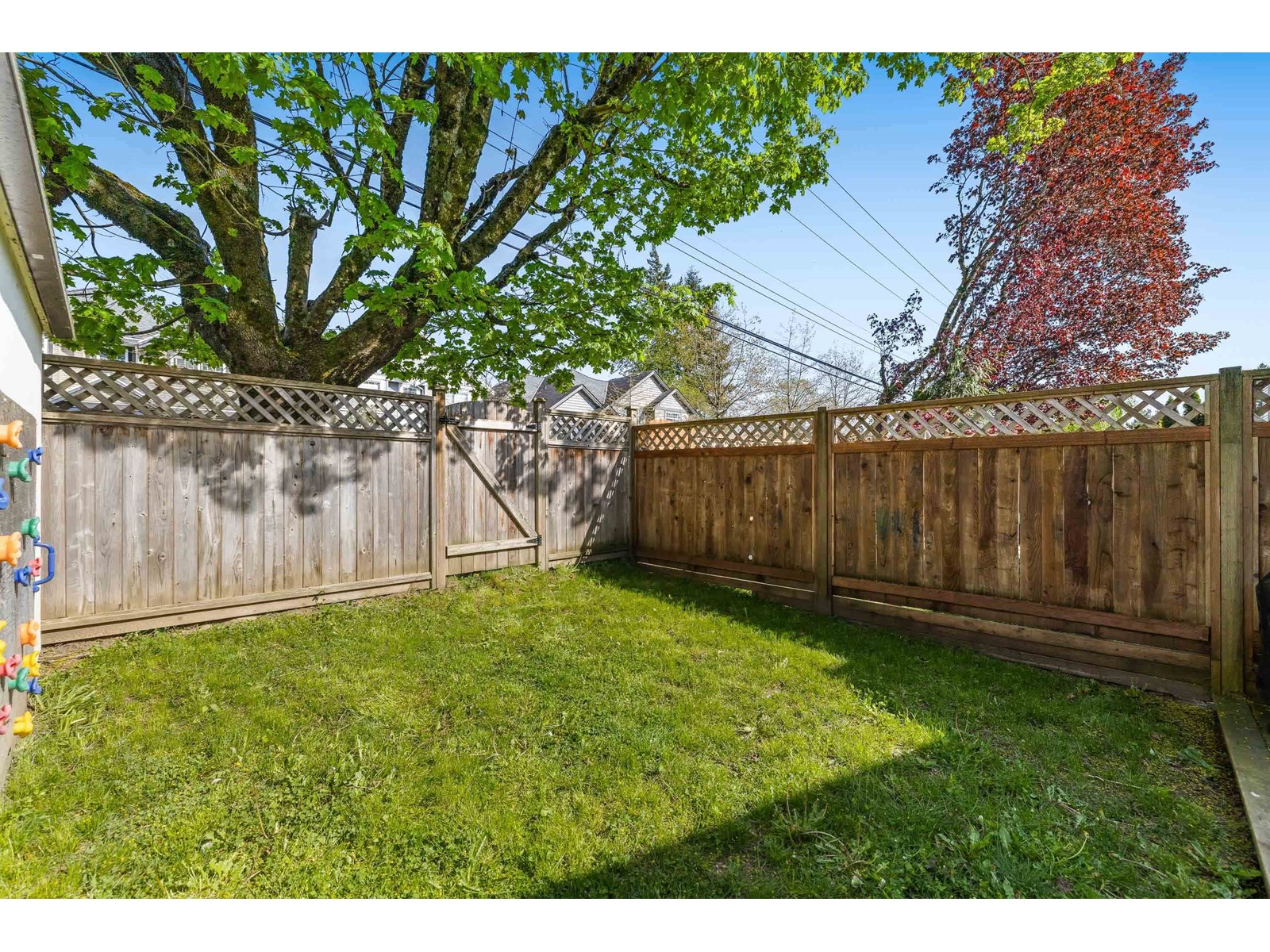408 Bruneau Place, Langley, British Columbia  V4W 3K9 - Photo 32 - R3013621