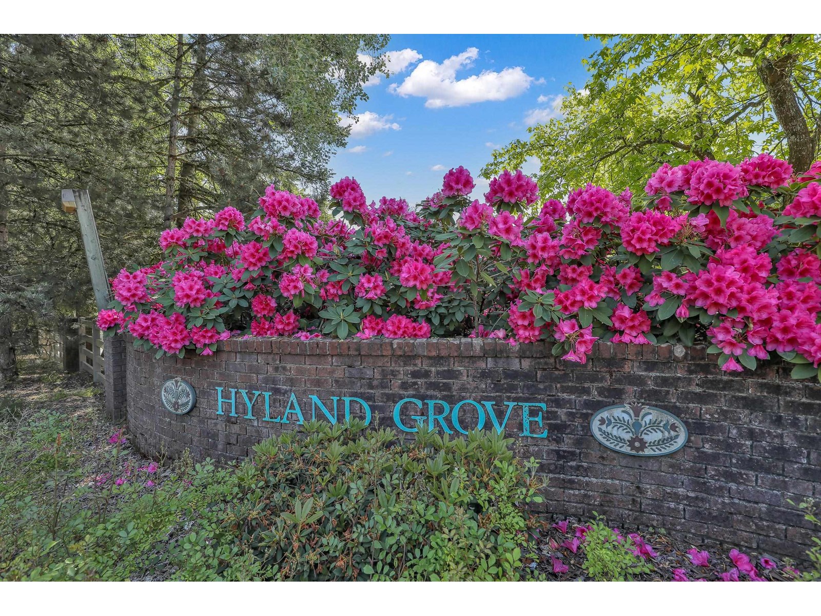411 13900 HYLAND ROAD, surrey, British Columbia