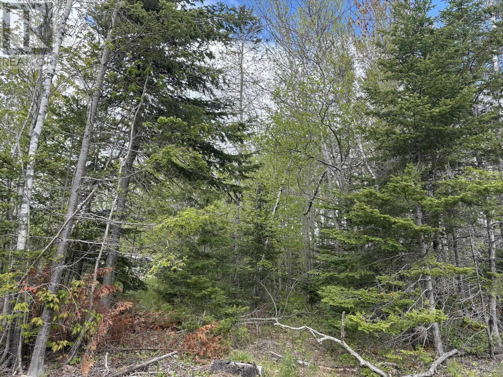 Lot 5 Highway 14, Upper Nine Mile River, Nova Scotia  B2S 2Z3 - Photo 1 - 202513466