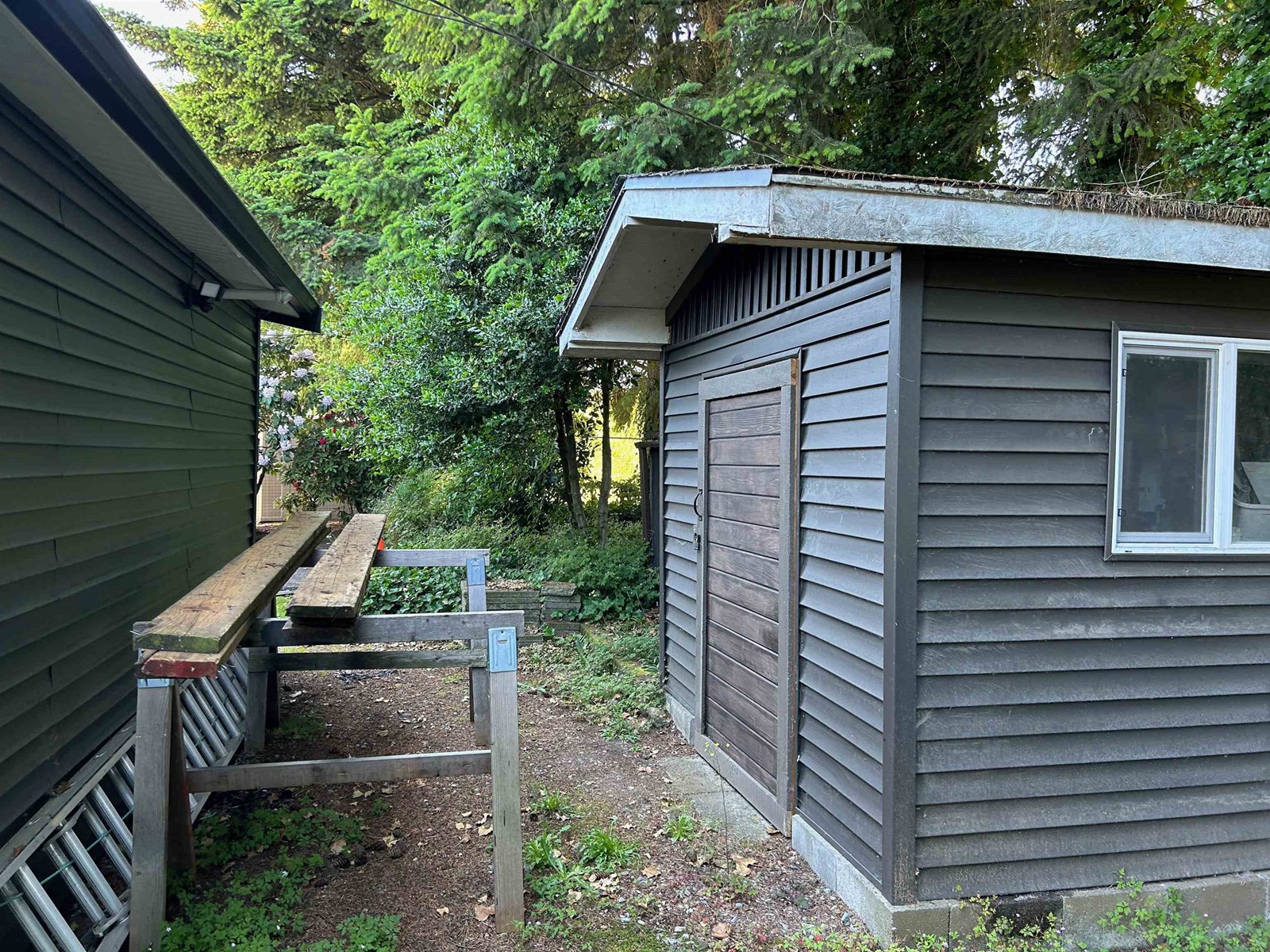 5 31313 Livingstone Avenue, Abbotsford, British Columbia  V2T 4T1 - Photo 8 - R3014341