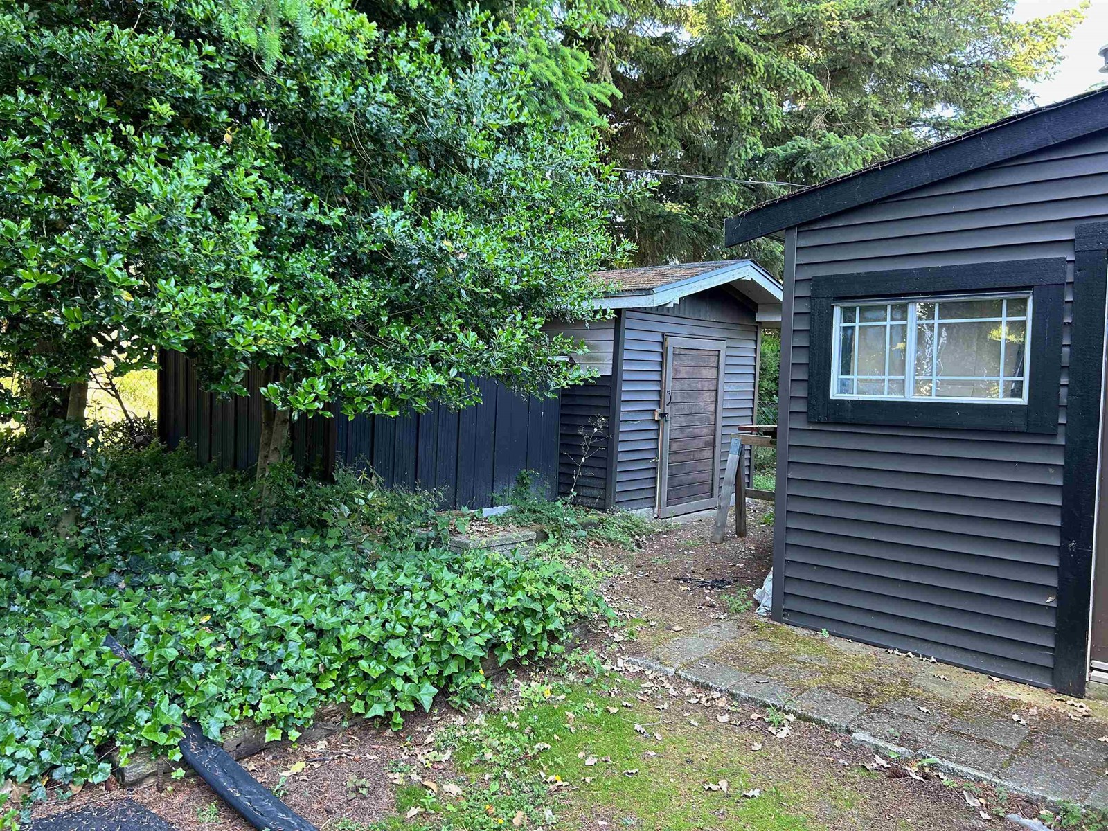 5 31313 Livingstone Avenue, Abbotsford, British Columbia  V2T 4T1 - Photo 7 - R3014341