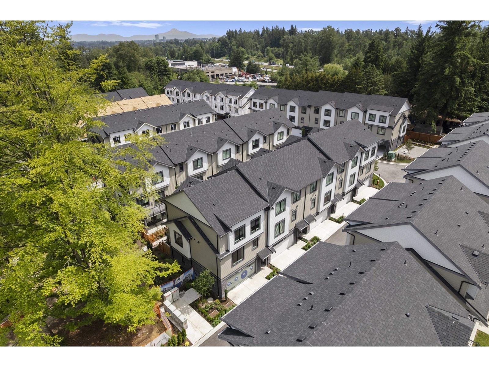 14017 110 Avenue, Surrey, British Columbia  V3R 1Z3 - Photo 6 - R3012054