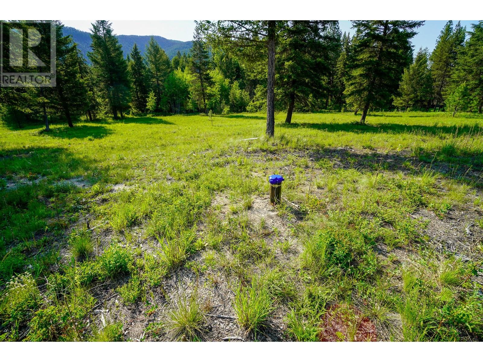 Lot 2 Mary G Road, Beaverdell, British Columbia  V0H 1A0 - Photo 5 - 10351657