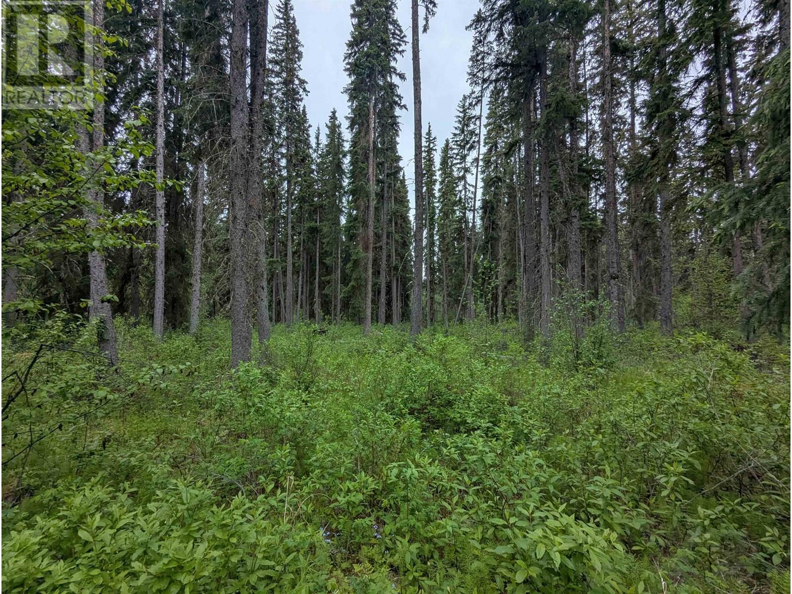 7133 Adams Road, Smithers, British Columbia  V0J 2N7 - Photo 36 - R3013756