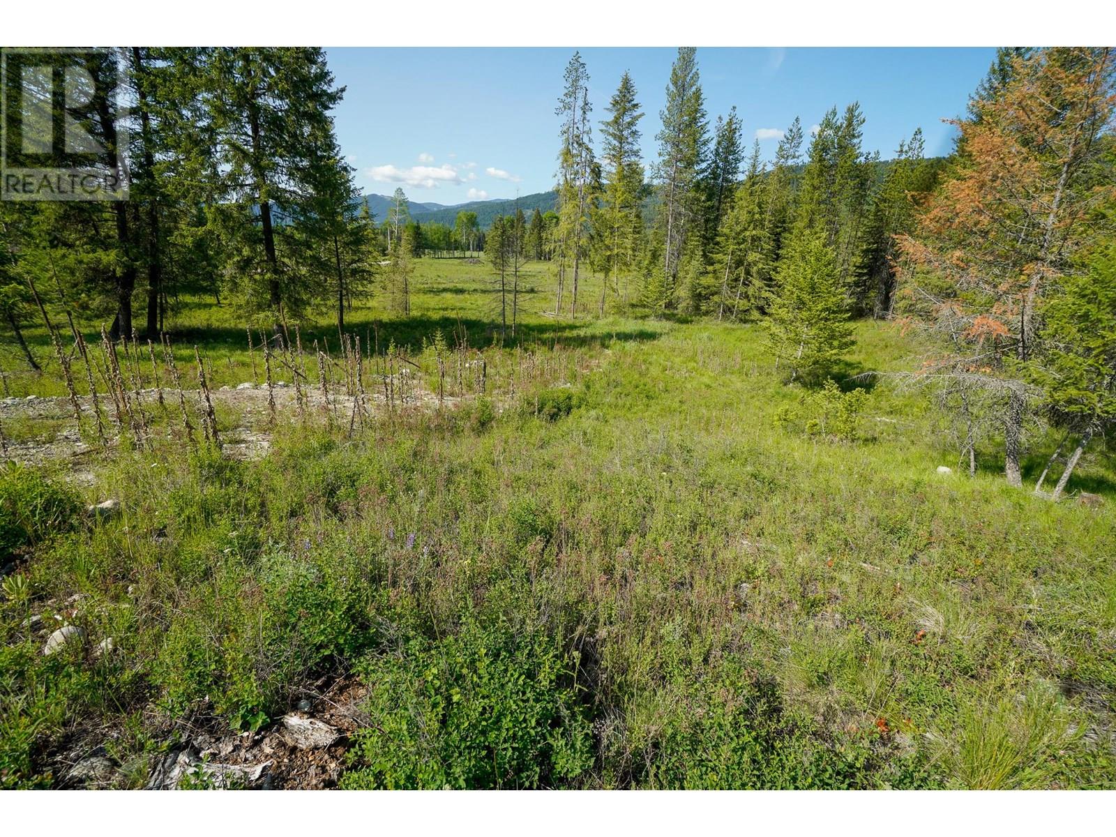 Lot 4 Mary G Road, Beaverdell, British Columbia  V0H 1A0 - Photo 6 - 10351810