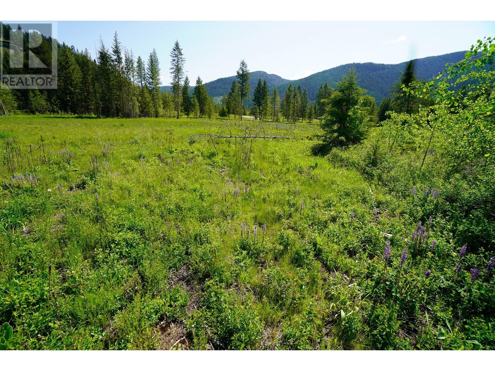Lot 4 Mary G Road, Beaverdell, British Columbia  V0H 1A0 - Photo 11 - 10351810