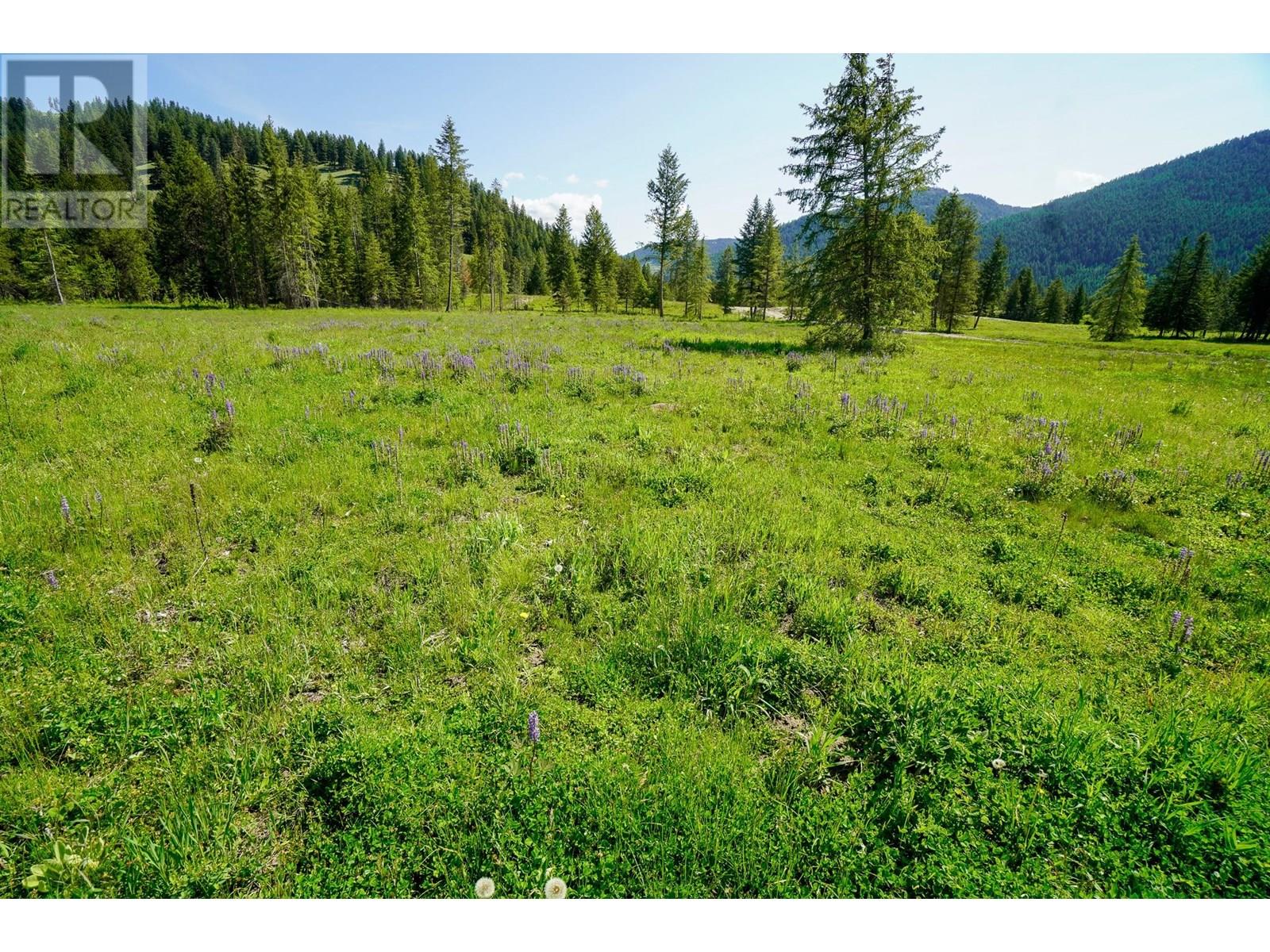 Lot 4 Mary G Road, Beaverdell, British Columbia  V0H 1A0 - Photo 10 - 10351810