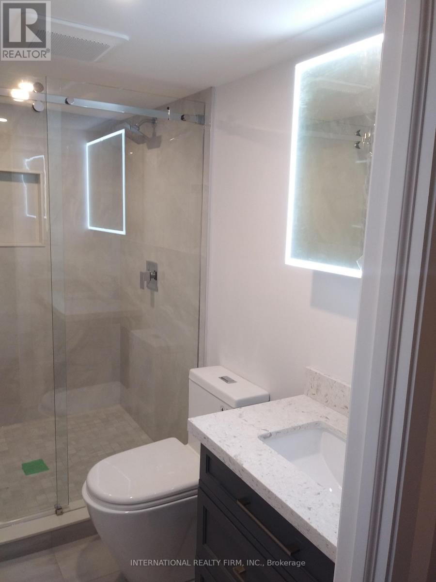 Lower - 261 Soudan Avenue, Toronto (Mount Pleasant West), Ontario  M4S 1W2 - Photo 26 - C12214400