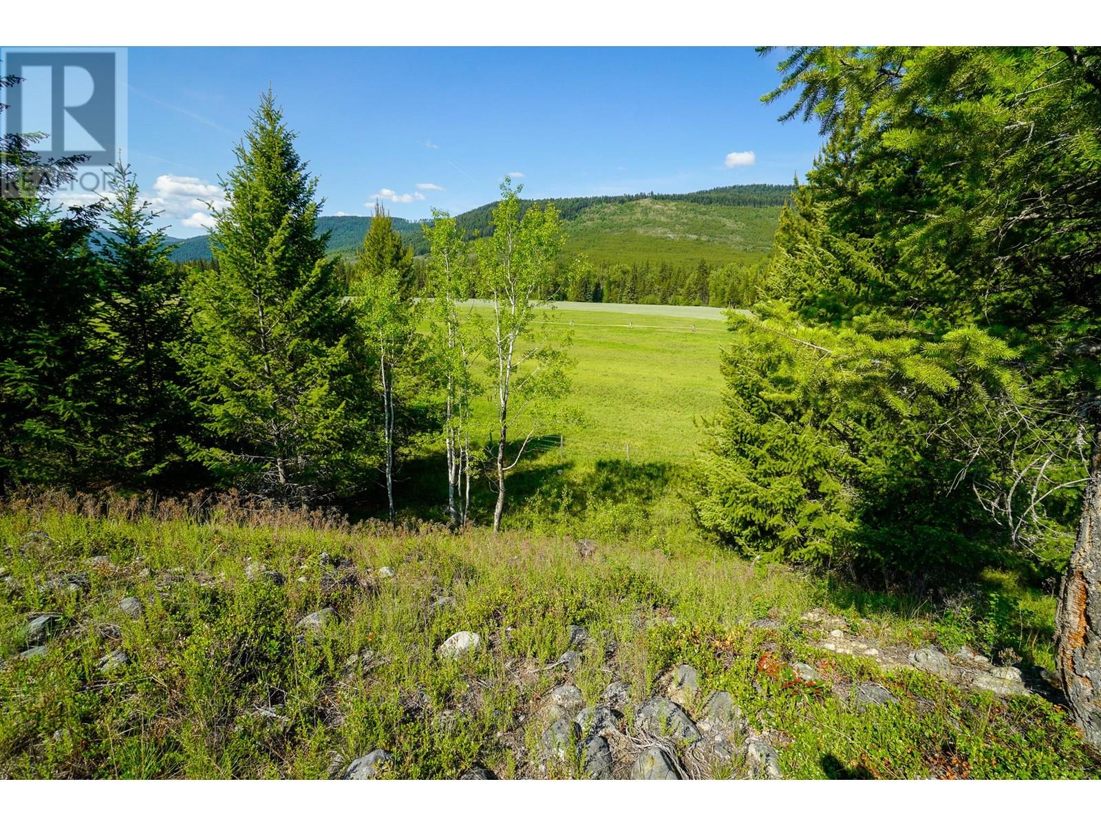 Lot 7 Mary G Road, Beaverdell, British Columbia  V0H 1A0 - Photo 7 - 10351855