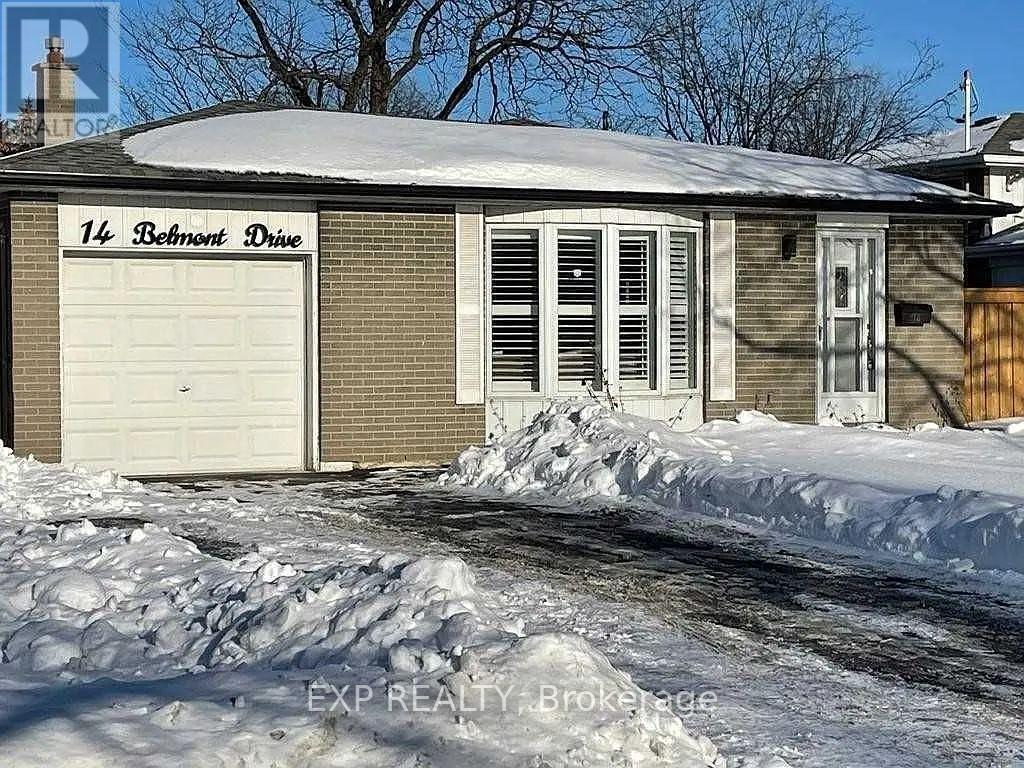 14 Belmont Drive, Brampton, Ontario  L6T 2K3 - Photo 20 - W12214448