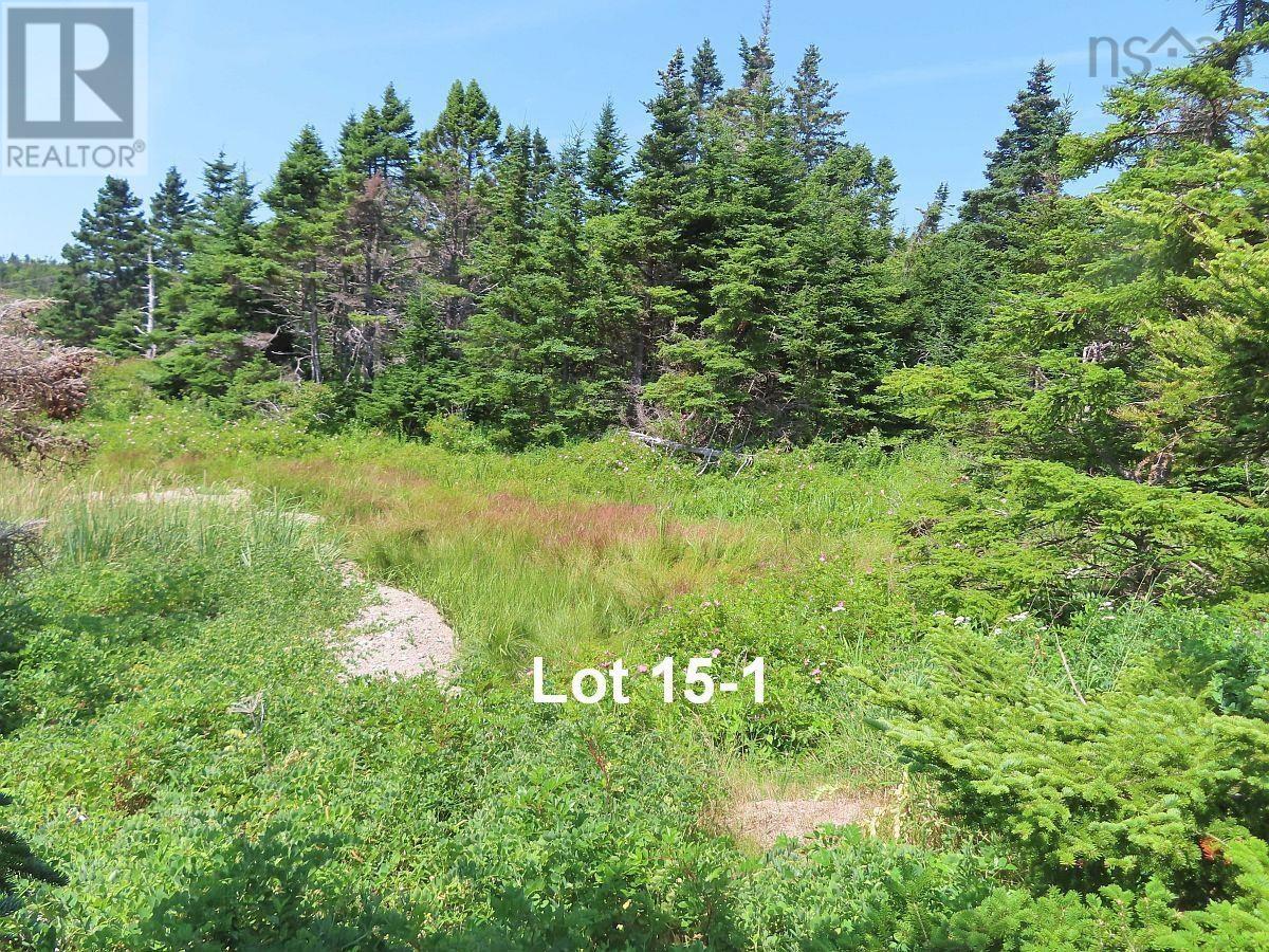 Lots 15&15-1 Hwy 316 (English Hbr), Cole Harbour, Nova Scotia  B0H 1T0 - Photo 25 - 202514326
