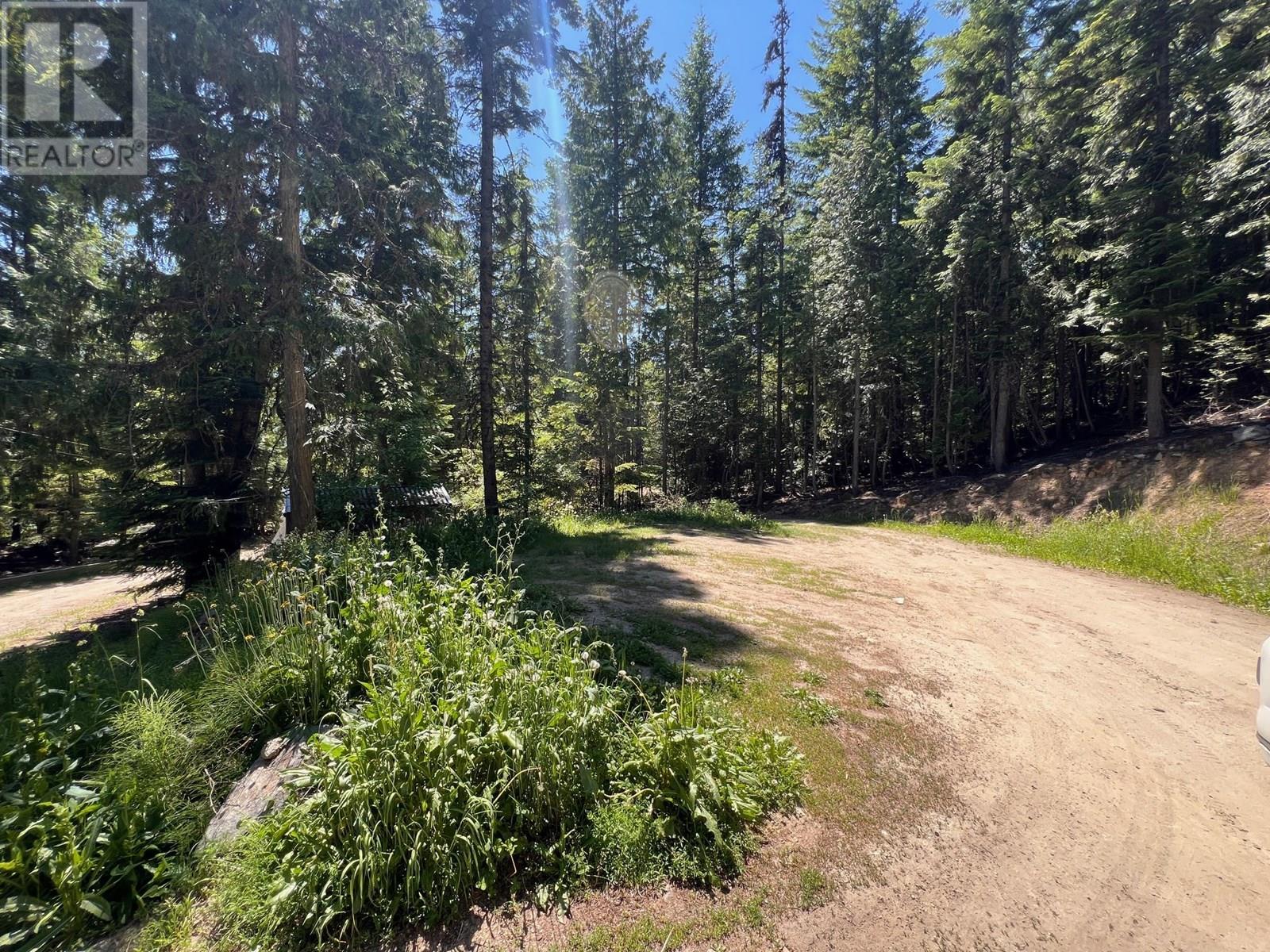 3701 Sabrina Road, Bonnington, British Columbia  V0G 2G3 - Photo 12 - 10351804
