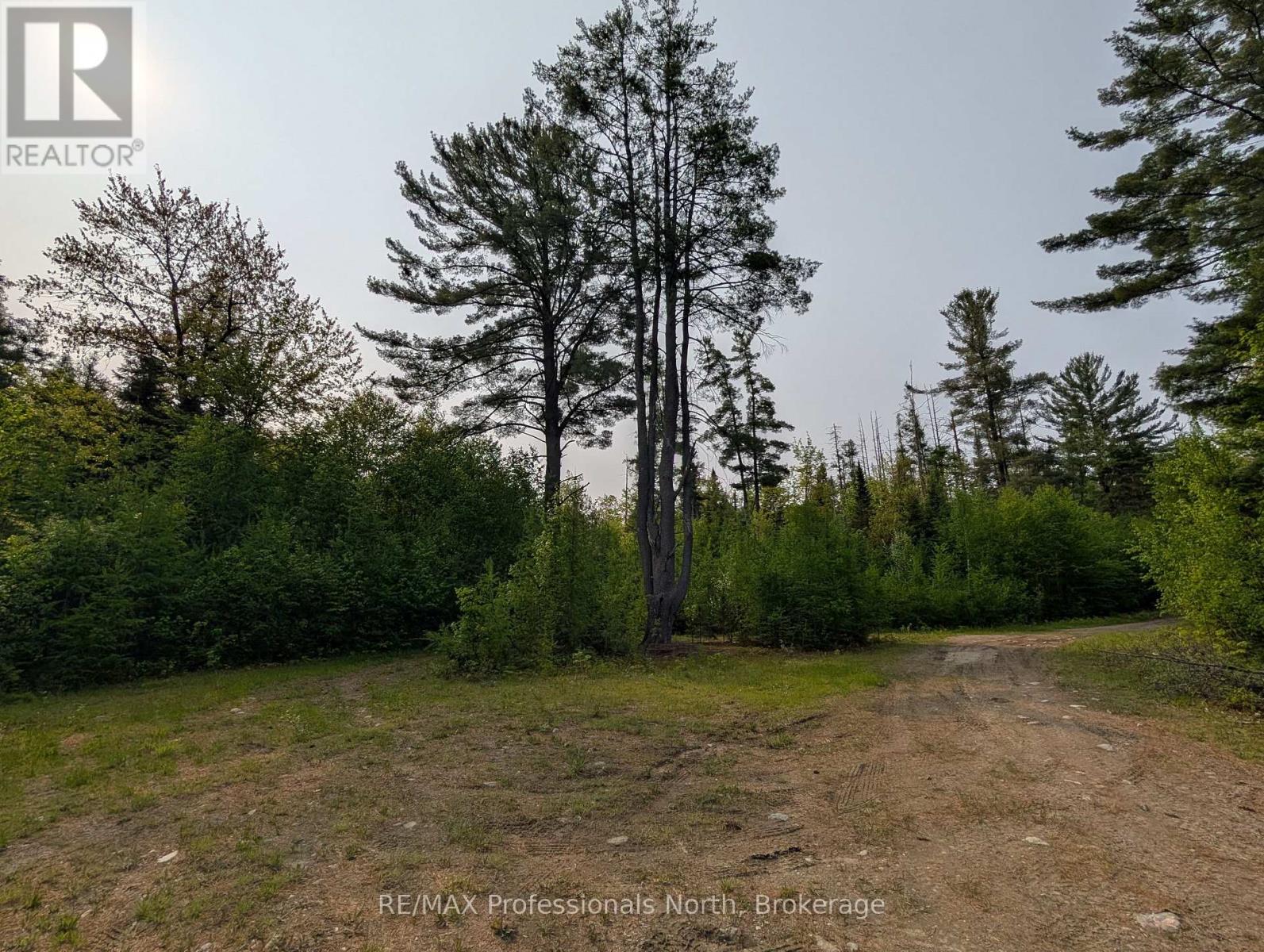 0 Woods Road, Parry Sound Remote Area, Ontario  P0A 1X0 - Photo 19 - X12214539
