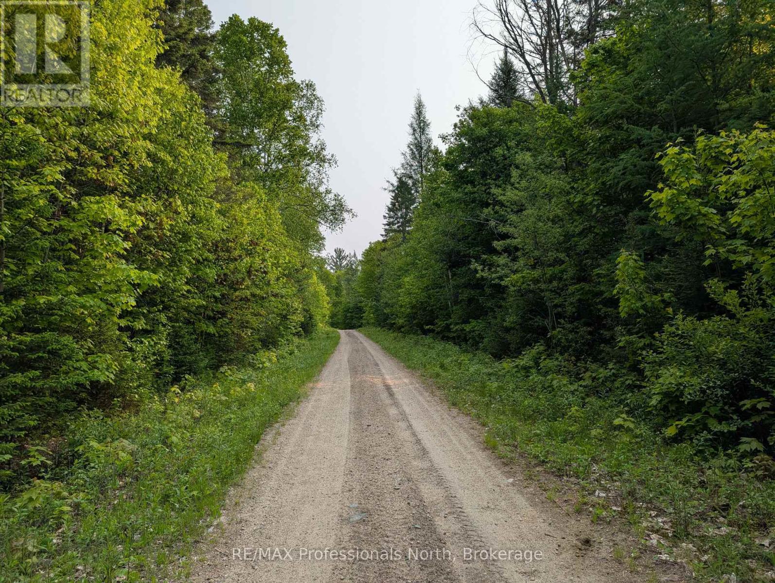 0 Woods Road, Parry Sound Remote Area, Ontario  P0A 1X0 - Photo 2 - X12214539
